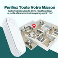 purificateur d'air